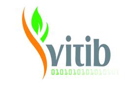 Village des Technologies de l'Information et de la Biotechnologie (VITIB)